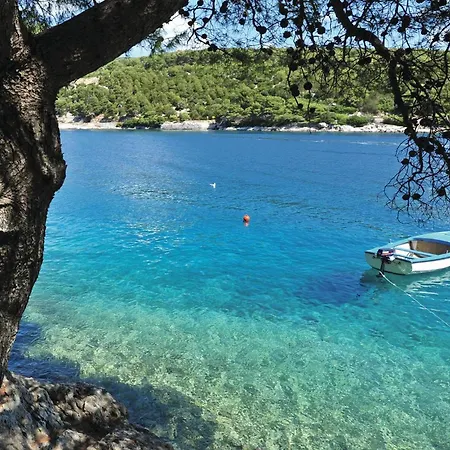 Hébergement de vacances 2 Bedroom In Selca (Brac)