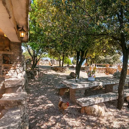 Pet Friendly In